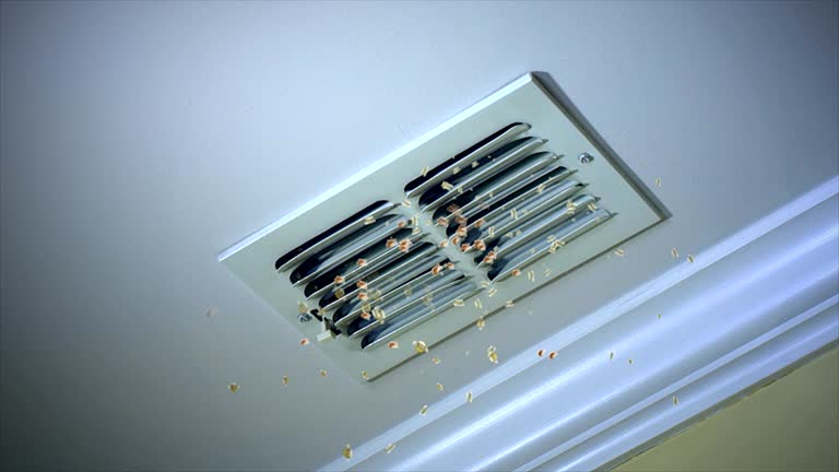 Best Ductwork Cleaning Services  in Napervle, IL