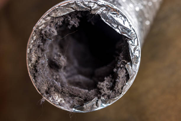 Best Affordable Duct Cleaning Services  in Napervle, IL